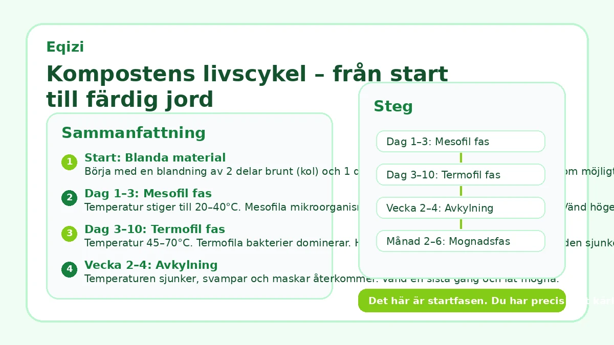 Kompostens livscykel – från start till färdig jord